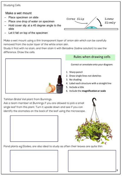 Microscope - High Quality Student Microscope