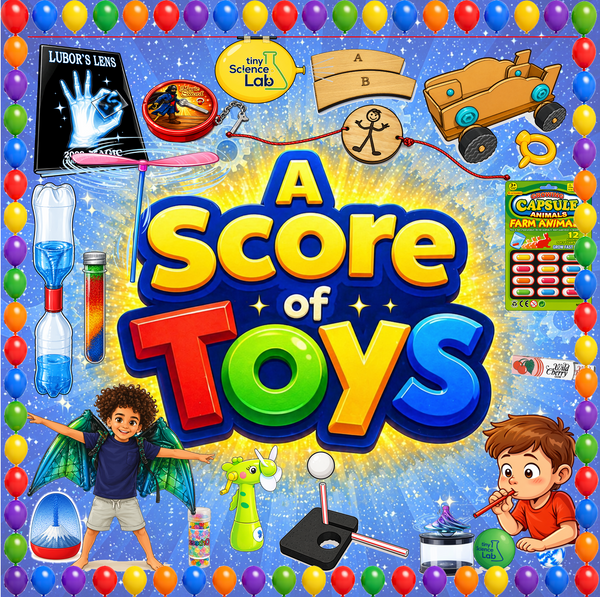 A Score of Toys - 20 Toys for the Online Live Zoom Lessons Tiny Science Lab