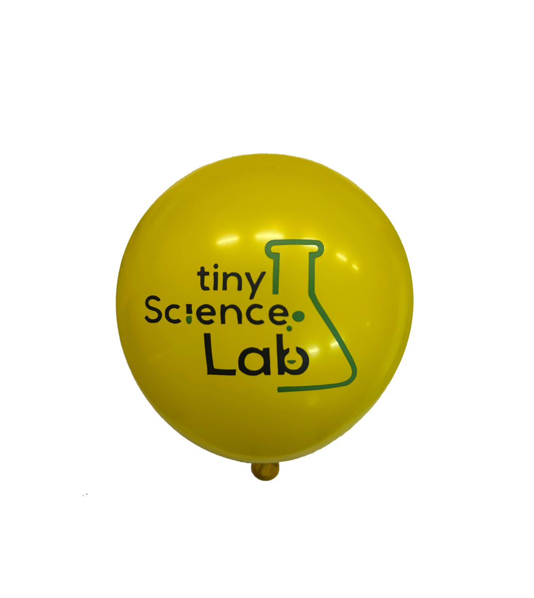 Balloons (100 per bag) – Tiny Science Lab