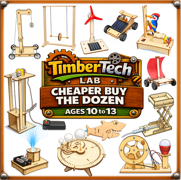 Ages 10 to 13 - Cheaper Buy The Dozen - Timber Tech Lab - STEM Science Kits - Tiny Science Lab