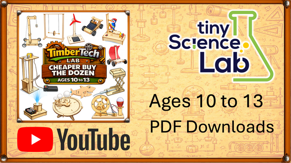 Ages 10 to 13 - Cheaper Buy The Dozen - Timber Tech Lab - STEM Science Kits - Tiny Science Lab