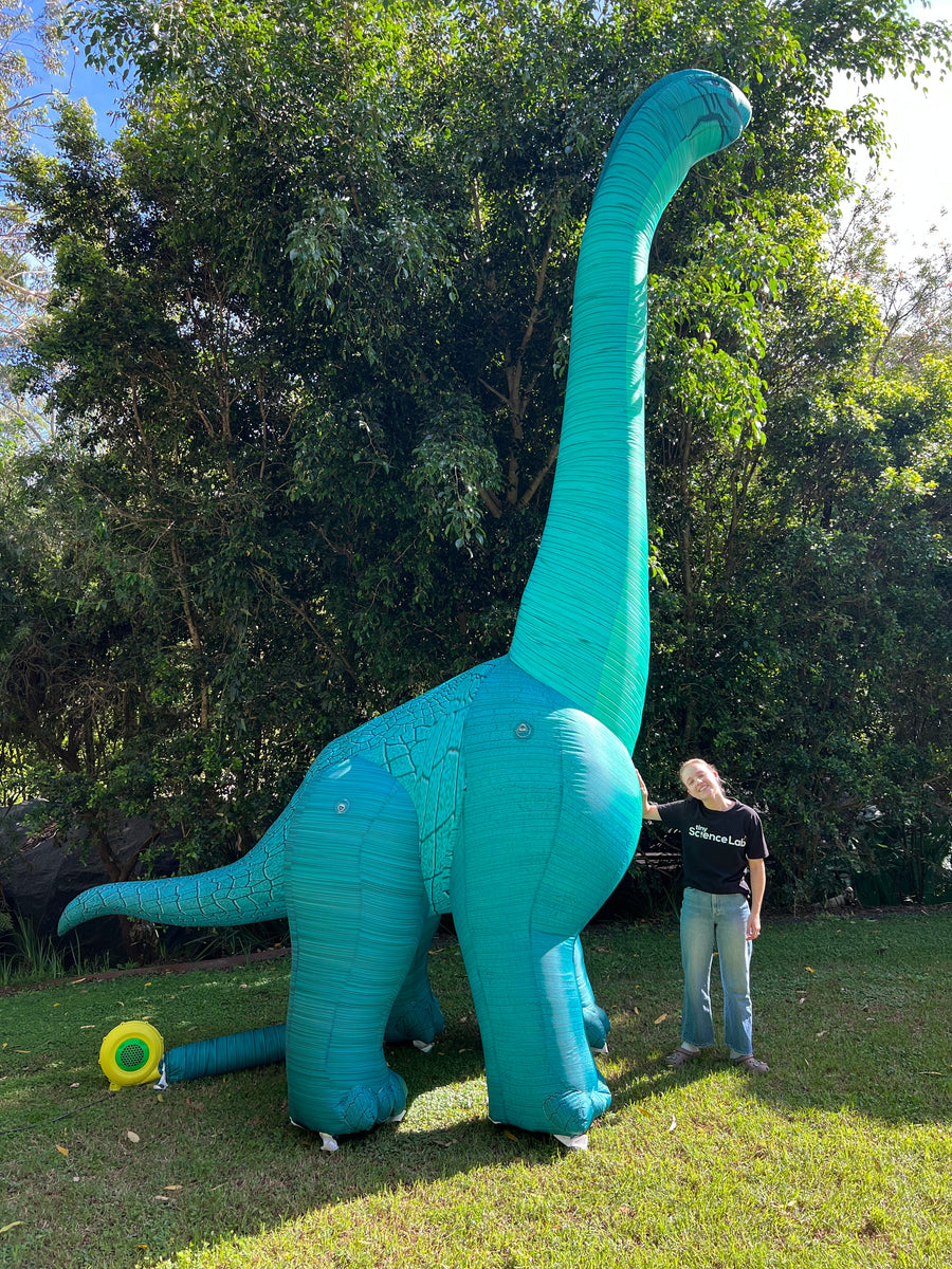 Huge inflatable dinosaur Brachiosaurus 5 metres tall – Tiny Science Lab