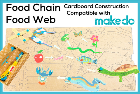 Food Chain Australian Food Web Cardboard Construction Model Kit | Makedo Compatible
