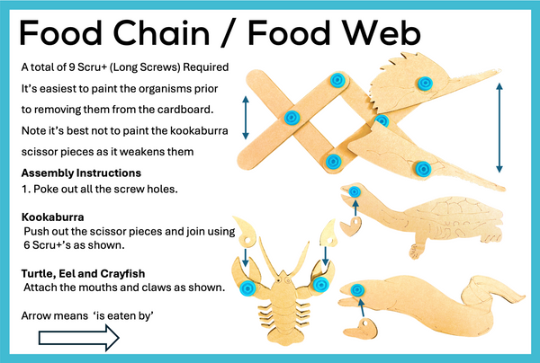 Food Chain Australian Food Web Cardboard Construction Model Kit | Makedo Compatible