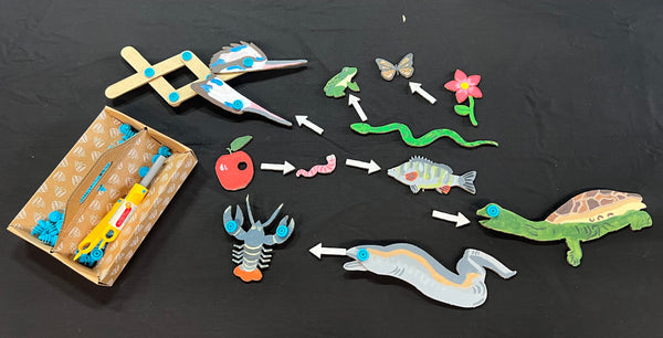 Food Chain Australian Food Web Cardboard Construction Model Kit | Makedo Compatible