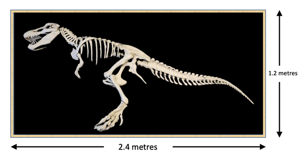 HUGE 3d Printed TRex Skeleton - Tyrannosaurus Rex - Dinosaur Bones
