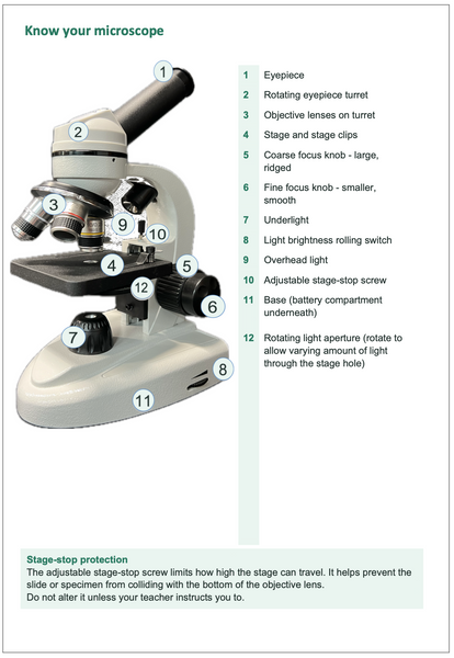 Microscope - High Quality Student Microscopes