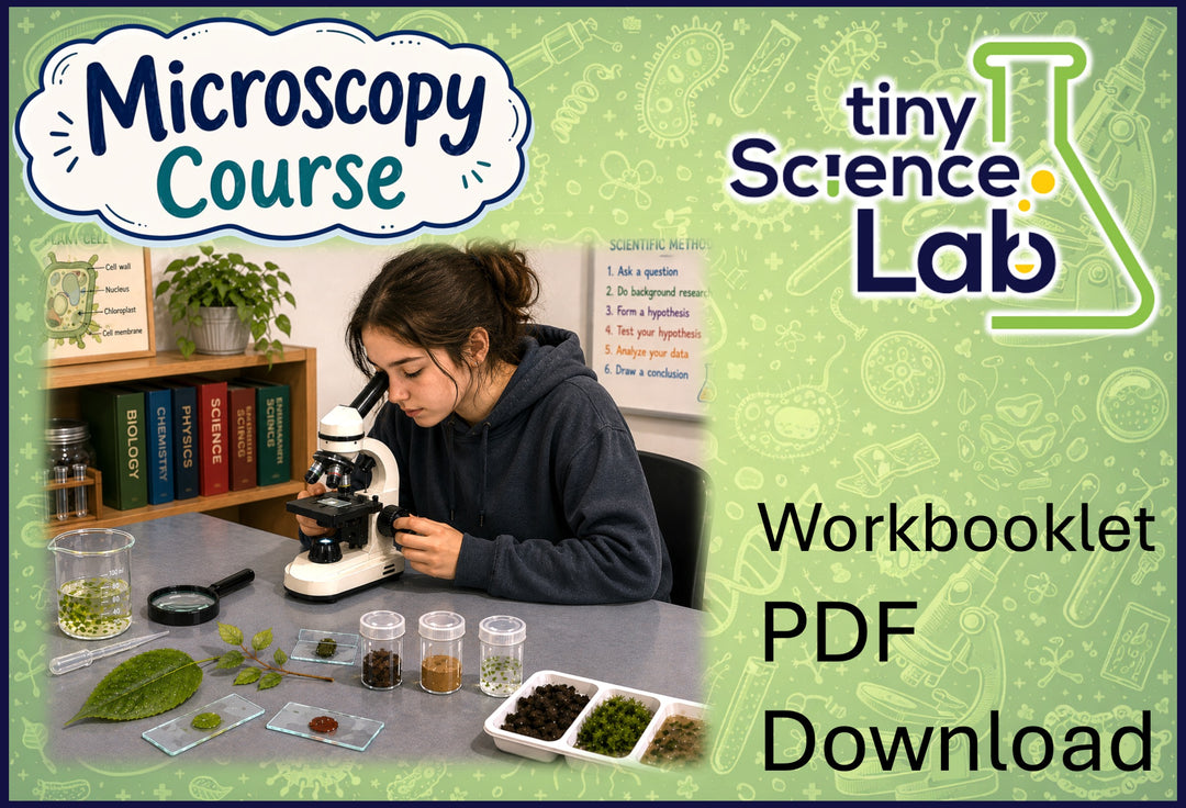 Microscope Microscopy Workbook Course - PDF Download – Tiny Science Lab