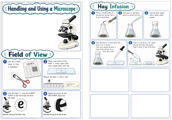 Microscope - High Quality Student Microscopes
