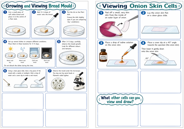 Microscope - High Quality Student Microscopes