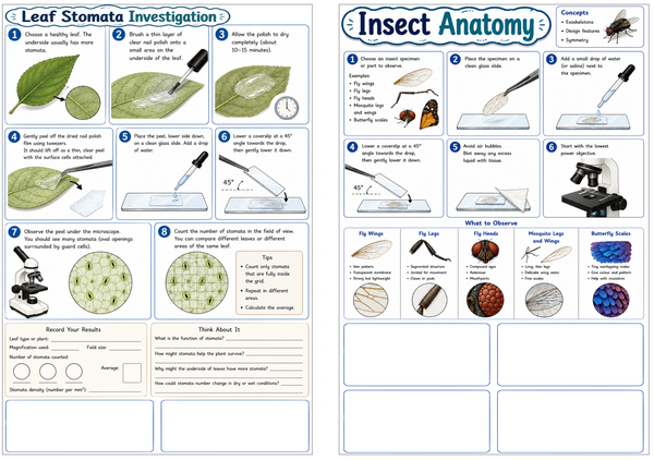 Microscope - High Quality Student Microscopes