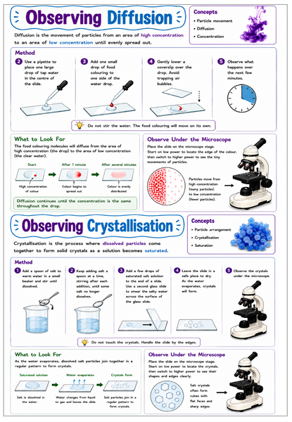 Microscope - High Quality Student Microscopes