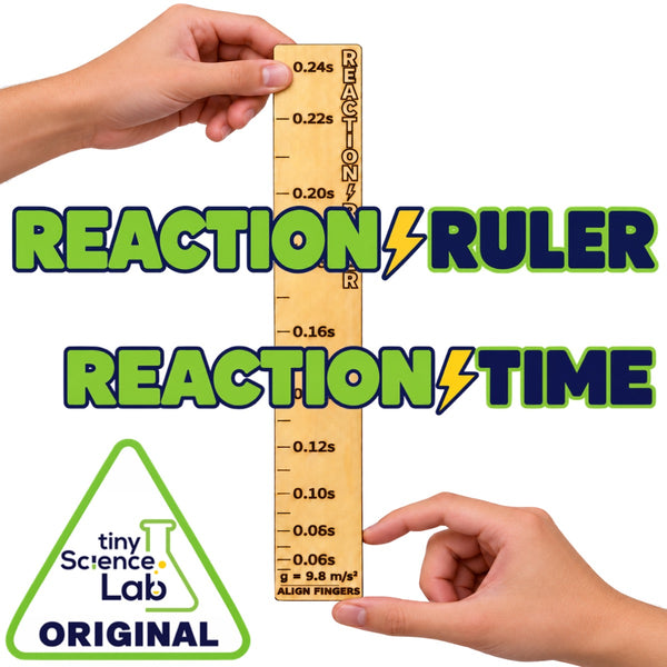 Reaction Time Ruler Experiment - A Tiny Science Lab Original