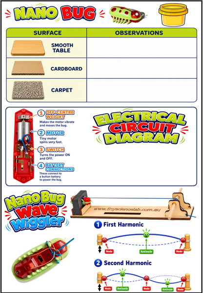 The Second Score of Toys - 20 Toys for the Online Live Zoom Lessons Tiny Science Lab