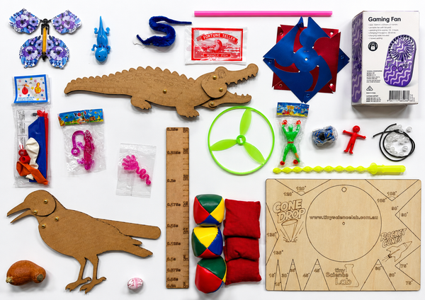 The Third Score of Toys - 20 Toys for the Online Live Zoom Lessons Tiny Science Lab