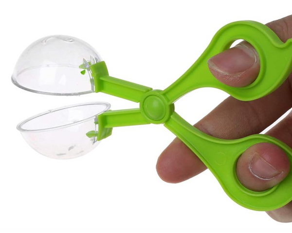 Insect Bug Catching Scissors