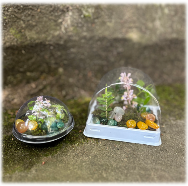 Terrarium Containers