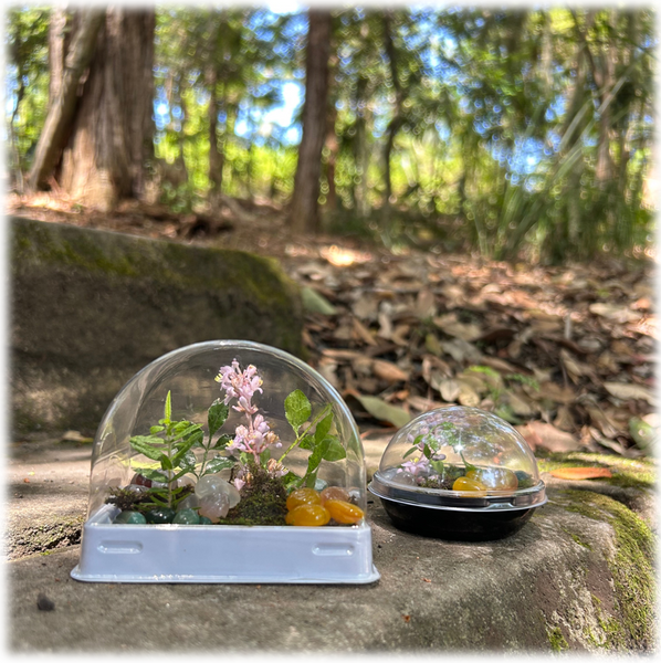 Terrarium Containers
