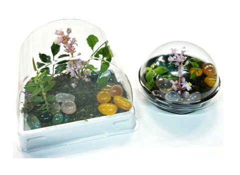 Terrarium Containers