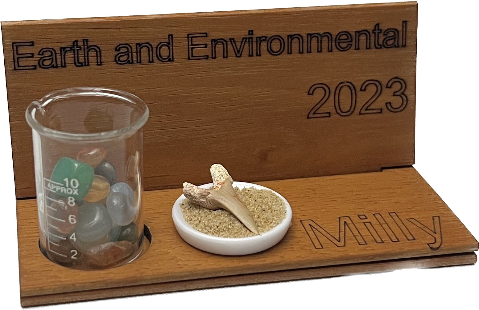 Earth and Environmental Science Year 12 High School Graduation Gift